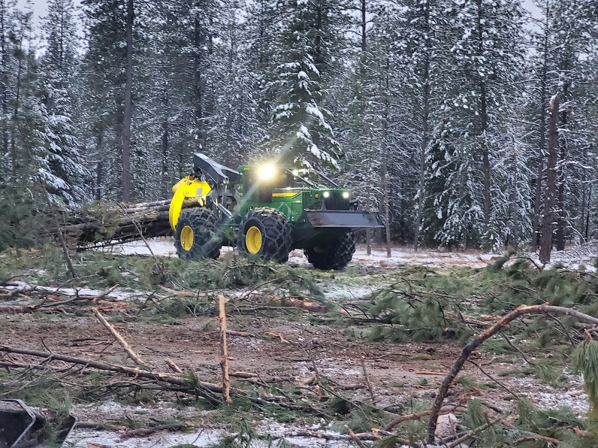 Lake City Logging