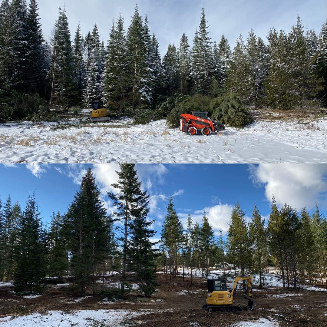 Precision Forestry & Fire