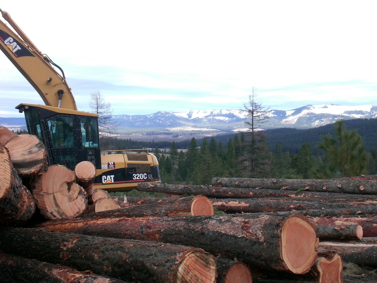 Roman Logging Inc